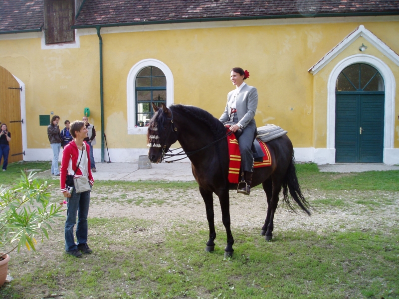Lilienhof 270805 027